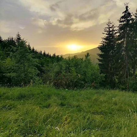 The Vintage House Zlatar Дом отдыха Нова-Варош