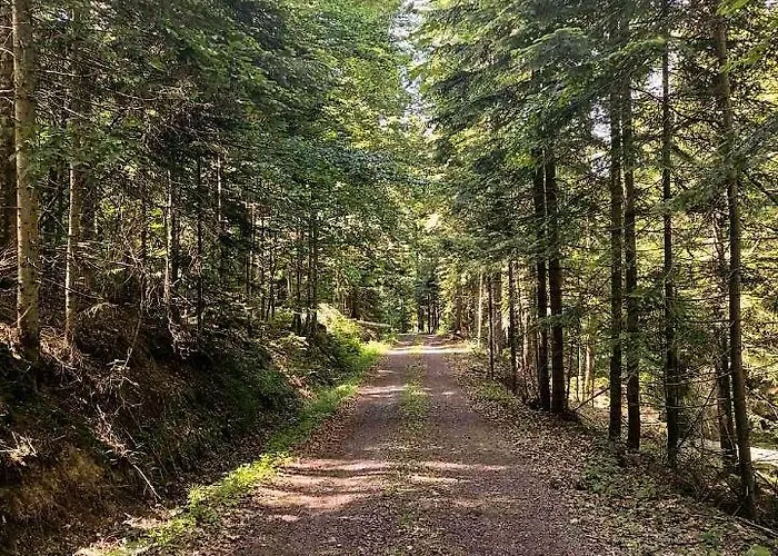 The Vintage House Zlatar *
