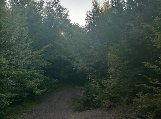 度假居 The Vintage House Zlatar *