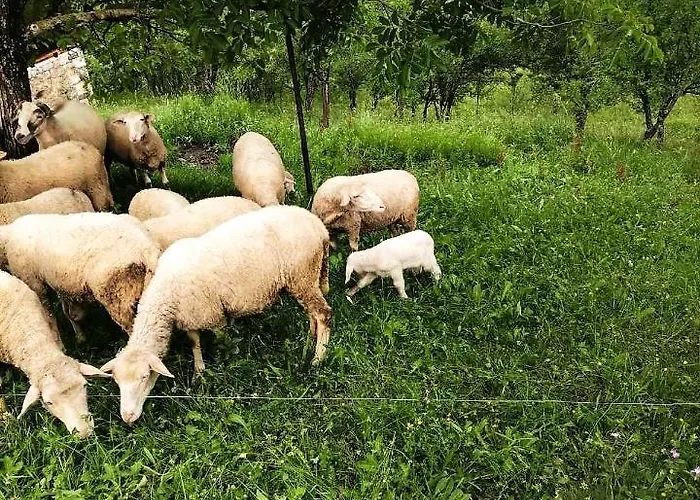 The Vintage House Zlatar * Нова-Варош
