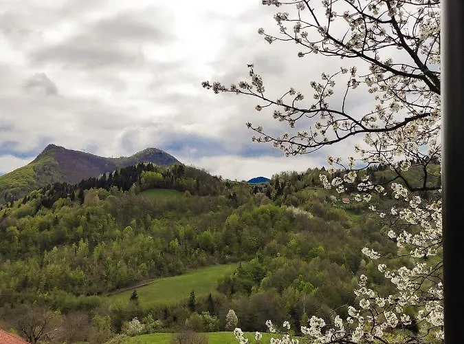 度假居 The Vintage House Zlatar Nova Varoš